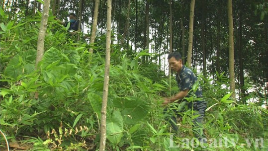 Cần nguồn lực và cơ chế phù hợp để hỗ trợ người dân bảo vệ rừng đầu nguồn