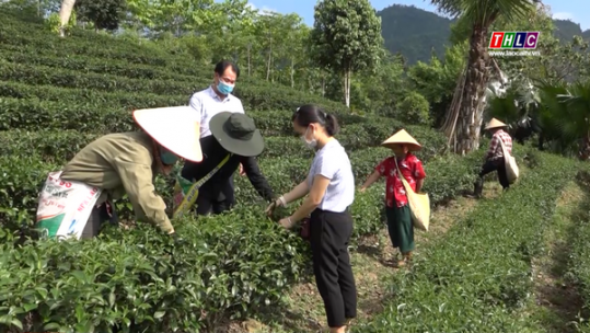 Bảo Yên nâng cao hiệu quả đào tạo nghề nông thôn