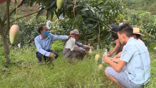 A Mú Sung nâng cao tiêu chí thu nhập