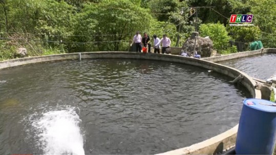 Nghị quyết 06 tiếp sức cho giảm nghèo