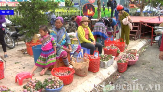 Tuần lễ giao thương xúc tiến tiêu thụ nông sản sẽ diễn ra từ ngày 10 - 13/6