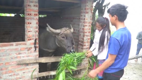 Day dứt tình trạng tảo hôn ở Pa Cheo