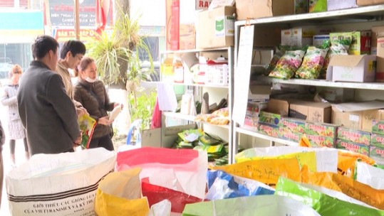 Lào Cai chủ động sản xuất vụ mùa