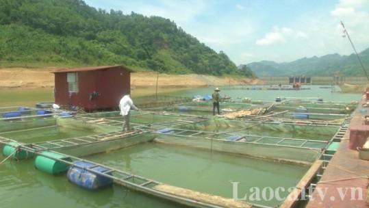 Tăng cường tuyên truyền việc tuân thủ pháp luật về thủy sản