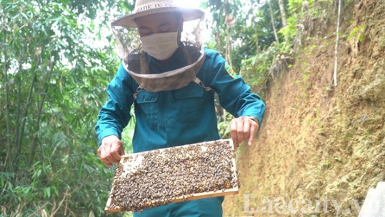 Gương đảng viên nói hay, làm giỏi ở huyện Bảo Yên