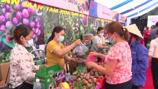 Trên 120 tấn nông sản được tiêu thụ tại tuần lễ nông sản Lào Cai
