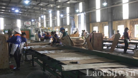 Công ty Cổ phần MDF Bảo Yên chú trọng đảm bảo an toàn trong lao động sản xuất