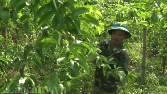 Bảo Yên phấn đấu giảm 4.100 hộ nghèo