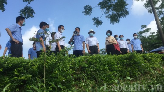 UBND tỉnh Lào Cai làm việc với Bộ Nông nghiệp và Phát triển nông thôn