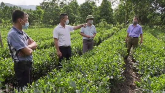 Việt Tiến nỗ lực xây dựng nông thôn mới nâng cao