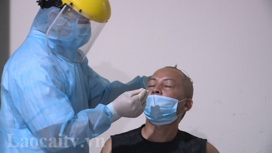 Thu phí xét nghiệm SARS-CoV-2 đối với người điều khiển phương tiện xuất khẩu hàng hóa