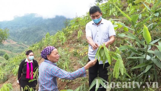 Trưởng thôn tâm huyết ở Nậm Bắt