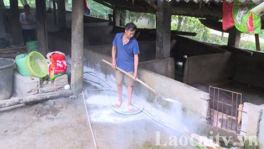 Đẩy mạnh phòng chống dịch tả lợn châu Phi