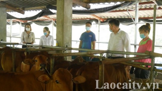 Thành công trong lập thân, lập nghiệp trên mảnh đất quê hương