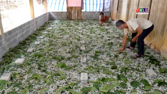 Bảo Yên cần gần 1.700 tỷ đồng để cán đích nông thôn mới