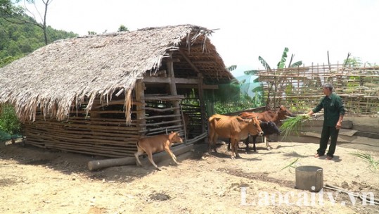 Vượt lên trên nỗi đau da cam