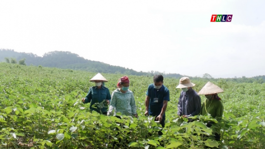 Tổ tuyên vận ở cơ sở -  Cầu nối đưa nghị quyết của Đảng vào cuộc sống