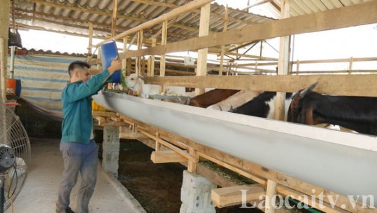 Tháo gỡ khó khăn về việc làm cho các lao động trở về địa phương