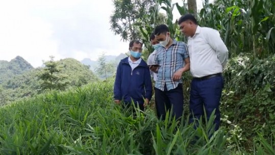 Từ giảm nghèo thông tin đến giảm nghèo bền vững