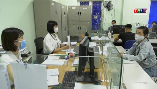 Linh hoạt trong tư vấn, giới thiệu việc làm