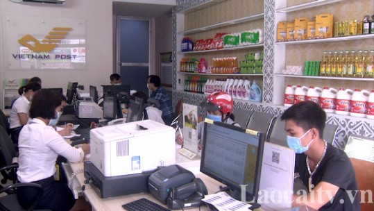 Vai trò của tổ chức cơ sở đảng trong doanh nghiệp