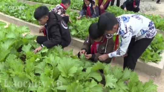 Tăng cường triển khai mô hình trường học gắn với thực tiễn trong năm học mới