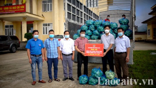 Nông dân Lào Cai hỗ trợ Hà Nội 30 tấn rau củ quả