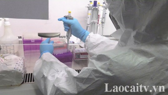 Sáng 21/8, Lào Cai không ghi nhận ca mắc Covid-19 mới
