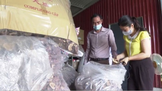 Cần hỗ trợ các HTX nông nghiệp tránh khỏi đứt gãy chuỗi sản xuất
