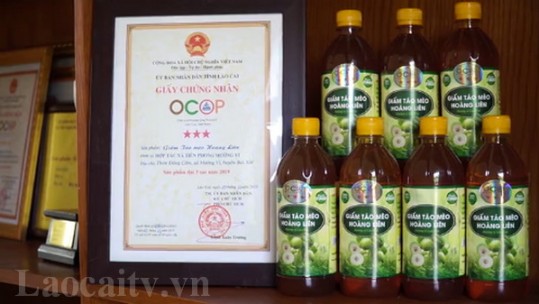 Tiêu chí an toàn thực phẩm trong đánh giá sản phẩm OCOP