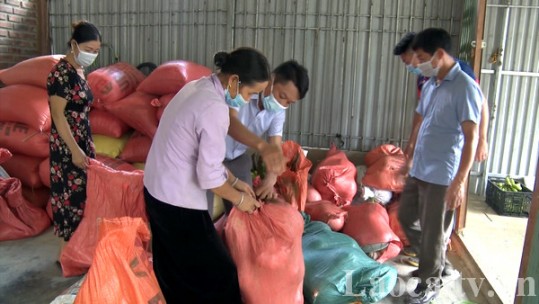 Nông dân Văn Bàn hỗ trợ Hà Nội trên 17 tấn nông sản