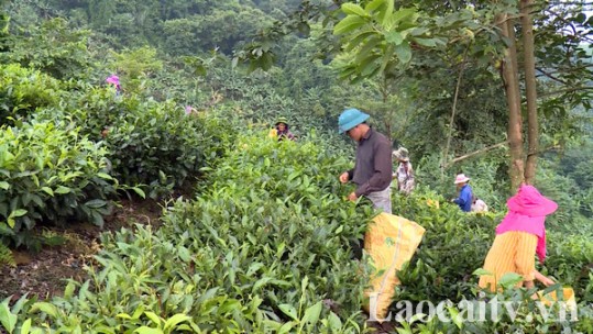 Sức sống ở thôn tái định cư biên giới Cốc Lầy