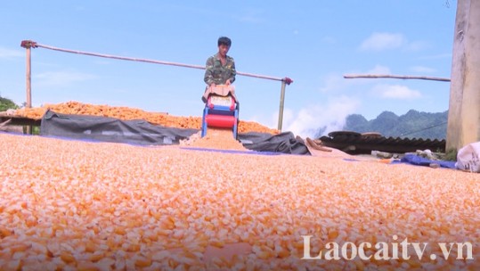 Tăng cường thực hiện chính sách bảo hiểm xã hội, bảo hiểm y tế, bảo hiểm thất nghiệp