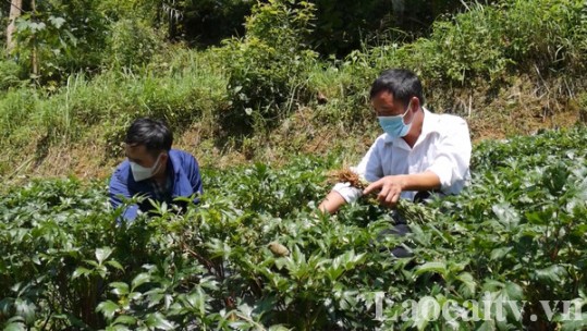 Những tín hiệu vui trong đời sống của đồng bào dân tộc thiểu số