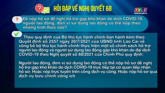 Hỏi - đáp Nghị quyết 68: Các cách nộp hồ sơ đề nghị hỗ trợ gặp khó khăn do dịch Covid-19