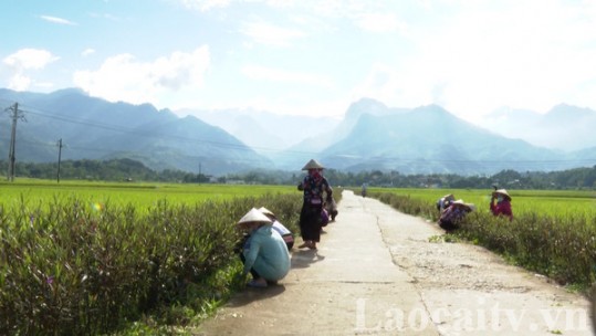 Phát huy vai trò của phụ nữ trong xây dựng nông thôn mới