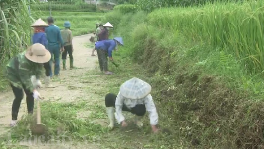 Hiệu quả sử dụng Quỹ Bảo trì đường giao thông nông thôn