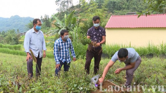 Giải quyết việc làm cho lao động từ vùng dịch trở về địa phương