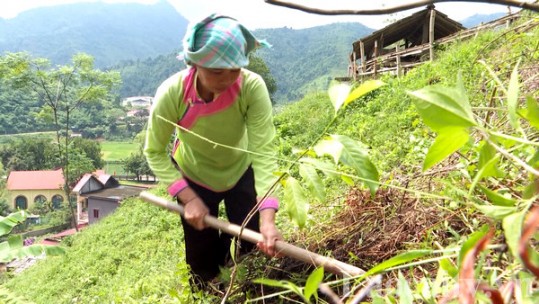 Hội Liên hiệp Phụ nữ thành phố Lào Cai quan tâm hỗ trợ hội viên khó khăn