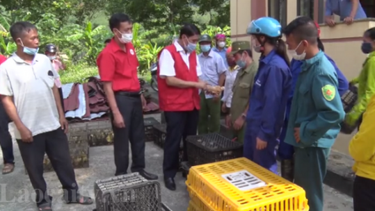 Hỗ trợ sinh kế cho nạn nhân chất độc da cam tại huyện Văn Bàn