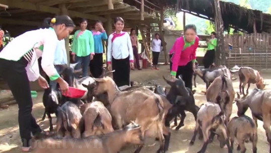 Lào Cai: Thành tựu 30 năm xóa đói, giảm nghèo