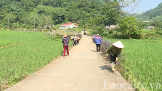 Bắc Hà tích cực thi đua chào mừng 30 năm tái lập tỉnh