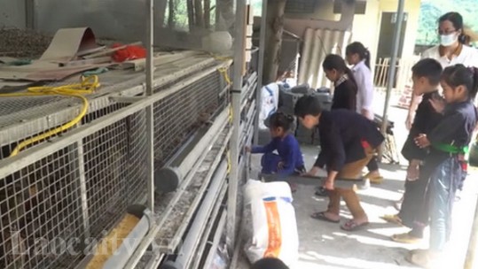 Giảm áp lực cho học sinh khi tranh thủ 