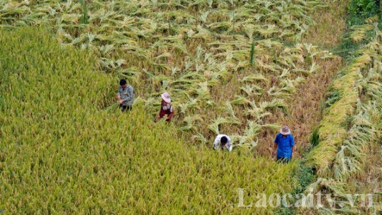 Mường Khương phấn đấu giảm nghèo nhanh ở địa bàn khó khăn nhất