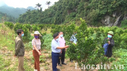 Hiệu quả hỗ trợ từ nguồn vốn cho vay theo Nghị quyết 06