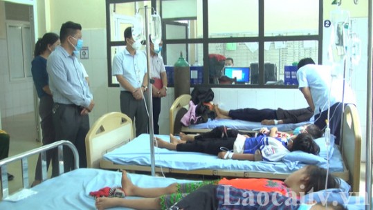 Văn Bàn: Một học sinh tử vong do ngộ độc quả hồng châu
