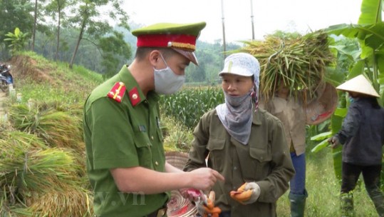 Hiệu quả ban đầu của mô hình 