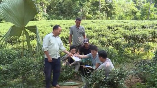 Câu lạc bộ 