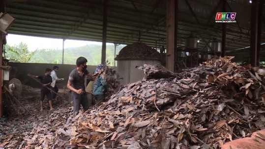 Phấn đấu giá trị sản xuất ngành Nông nghiệp đến năm 2025 đạt 12.000 tỷ đồng