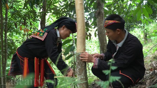 Phụ nữ vùng cao làm chủ kinh tế